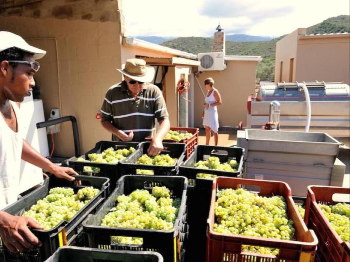 Mymering Wine&Guest Estate Ladismith Exterior foto