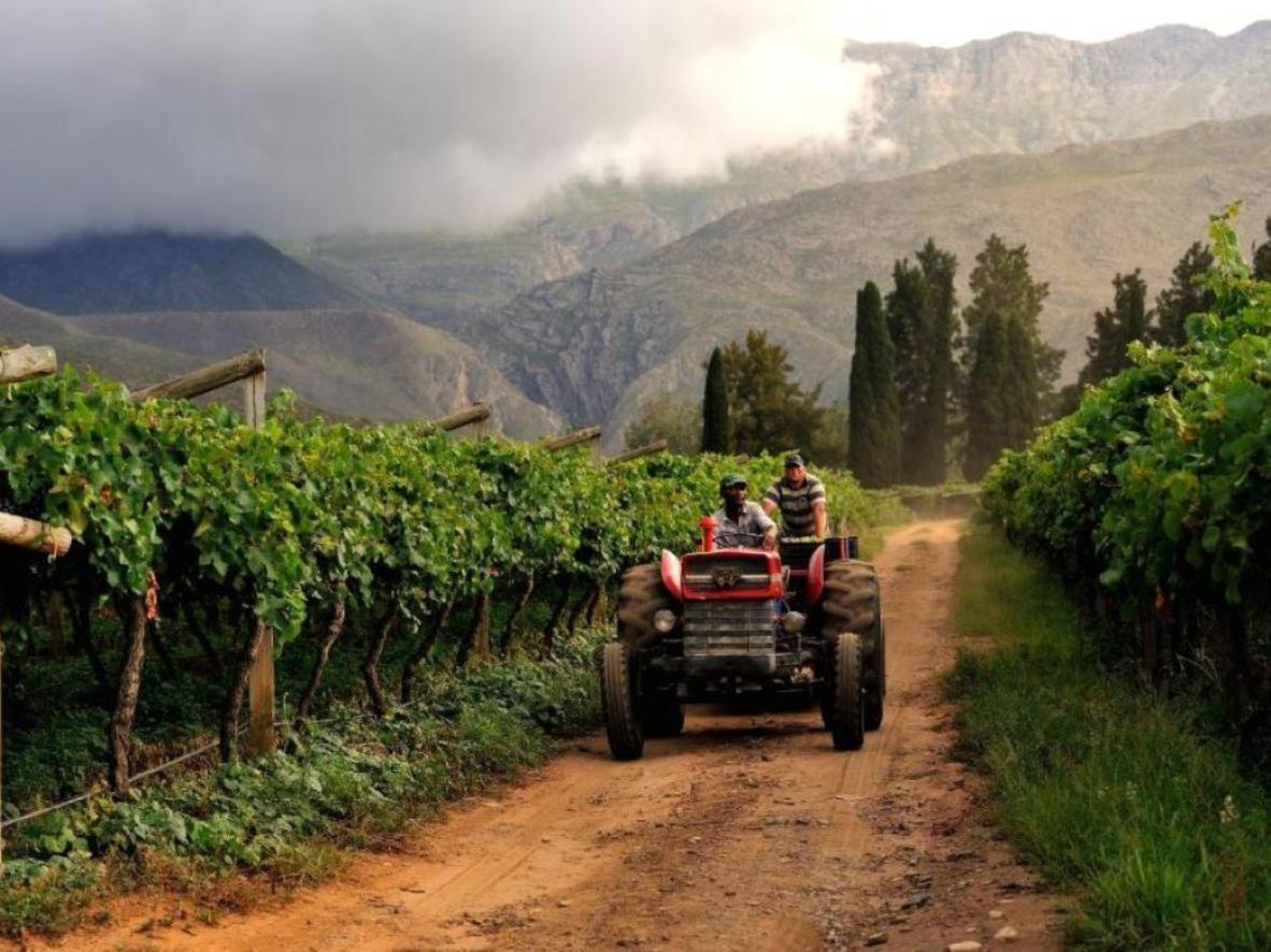 Mymering Wine&Guest Estate Ladismith Exterior foto