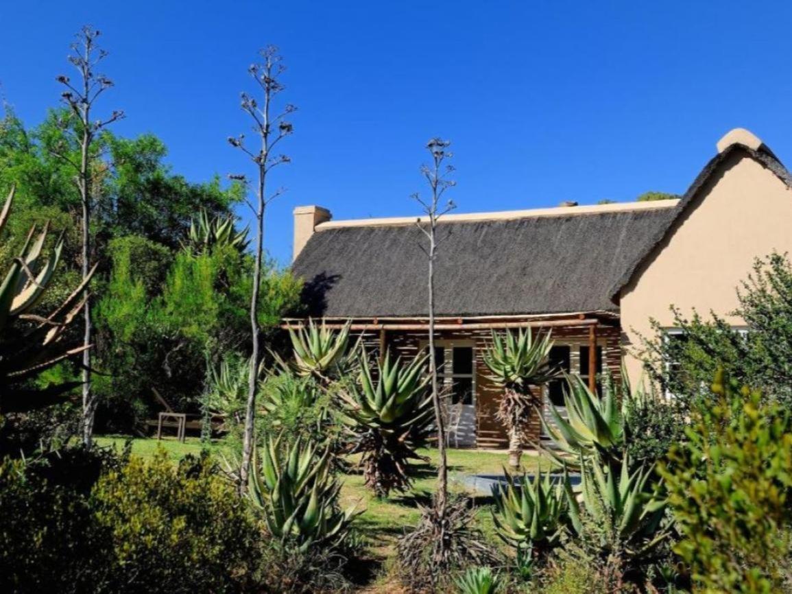 Mymering Wine&Guest Estate Ladismith Zimmer foto