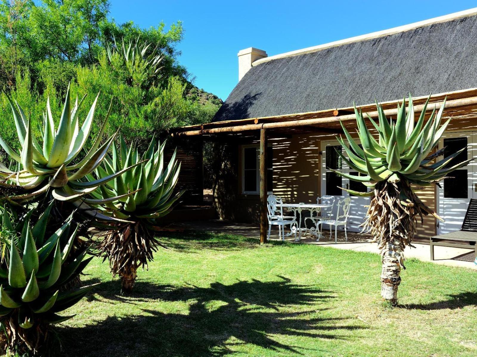 Mymering Wine&Guest Estate Ladismith Zimmer foto