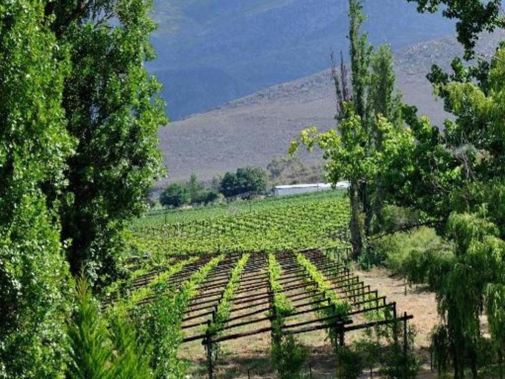 Mymering Wine&Guest Estate Ladismith Exterior foto